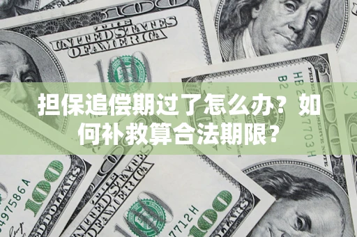 北京担保追偿期过了怎么办？如何补救算合法期限？