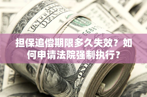 北京担保追偿期限多久失效？如何申请法院强制执行？