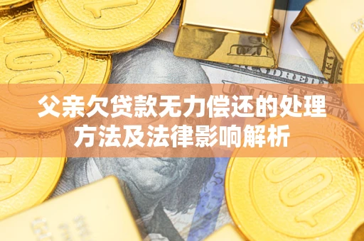 北京父亲欠贷款无力偿还的处理方法及法律影响解析