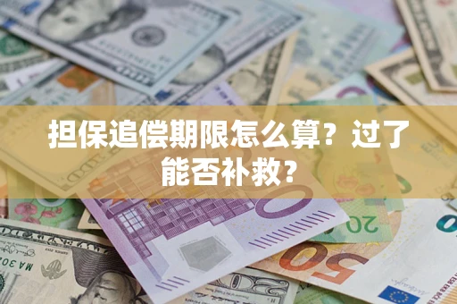 北京担保追偿期限怎么算？过了能否补救？